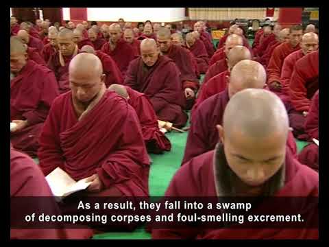 25. The Suffering of the Neighboring Hells