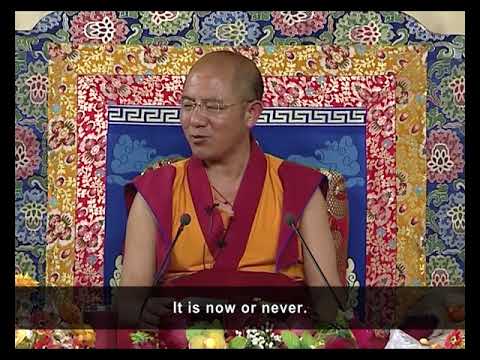 7. Reflecting On Dependent Arising, Causes and Conditions