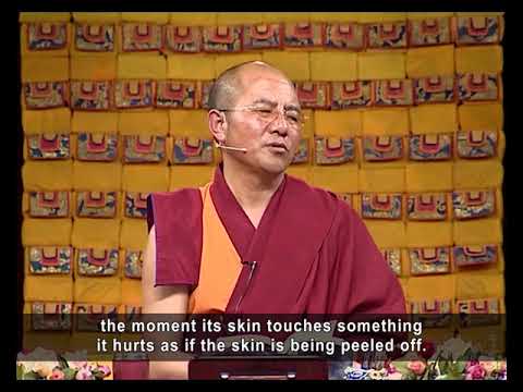 31. The Suffering of Birth